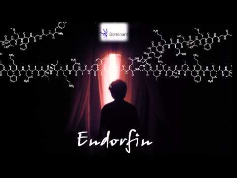 Fakhri Sadigli - Endorfin #4