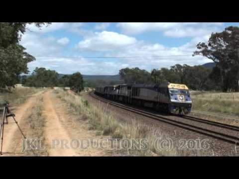 EL60+VL352+GL103 up wheat at Carrick NSW