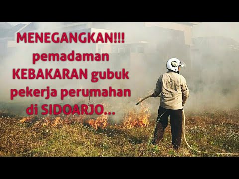 MENEGANGKAN!!! pemadaman kebakaran gubuk pekerja perumahan disidoarjo
