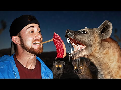 I Met 500 Wild Hyenas in Ethiopia (Dangerous)