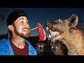 I Met 500 Wild Hyenas In Ethiopia Dangerous