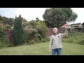 Ornithopter Rubber Band Powered Toy Bird