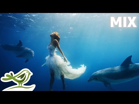 Peder B. Helland - Dance of Life (ganzes Album)