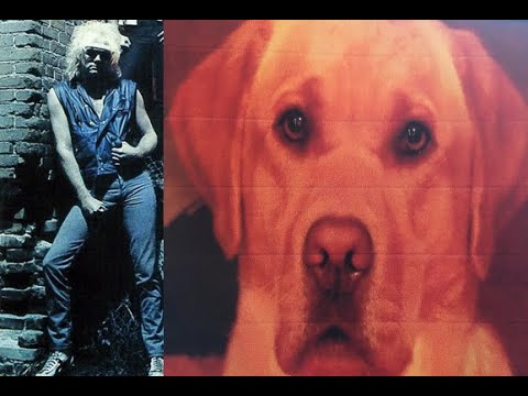 Thumbnail for Great White: Mark Kendall Talks Mitch Malloy, Van Halen, Terry Ilous, Touring -Previously Unreleased by Lorne Black