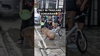 Download lagu Only in Thailand when Songkran… 😂😍🇹🇭 #shorts #bangkok #funny mp3 Download lagu Only in Thailand when Songkran… 😂😍🇹🇭 #shorts #bangkok #funny mp3