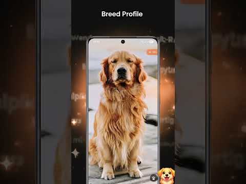 Dog Identifier - Breed Scanner