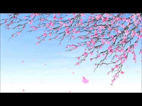 Hiding My Heart - Brandi Carlile