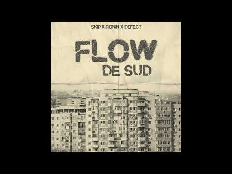 Skip x Ronin x Defect - Flow de sud