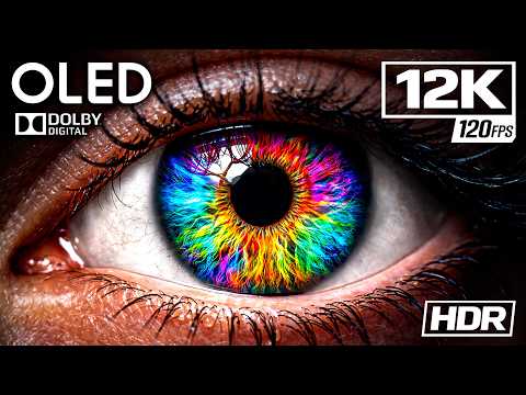 ULTIMATE COLORS HDR 12K VIDEO ULTRA HD 240 FPS 120FPS 60FPS Dolby Vision