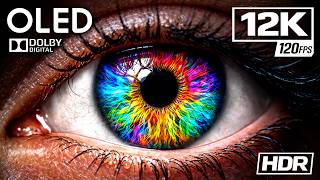 ULTIMATE COLORS HDR 12K VIDEO ULTRA HD 240 FPS 120FPS 60FPS Dolby Vision