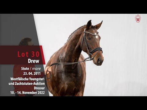 Online-Auktion Lot 30 Drew Stute v. Damsey - Florencio I