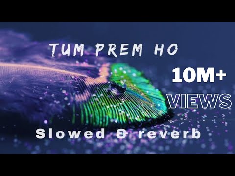 Tum Prem Ho Tum Preet Ho (Radha Krishna)[SLOWED+REVERB]| Bhajan Lofi 2025