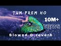 Tum Prem Ho Tum Preet Ho Radha Krishna SLOWED REVERB Bhajan Lofi 2025
