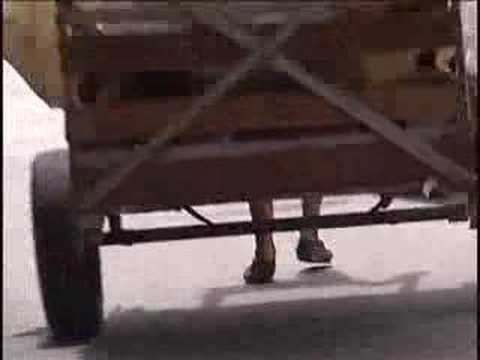 Lacertae - Pra Que pressa