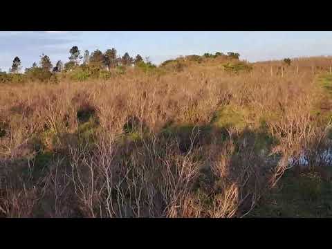 Video de YouTube - Campo en venta de 4 hectáreas ubicado en  Sauce Solo, Migues.