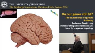 Do our genes still fit? The neuroscience of appetite and obesity