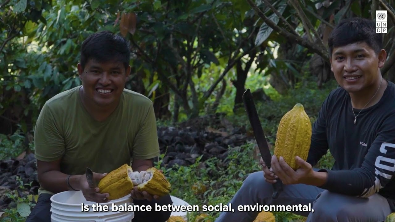 PNUD Peru National Human Development Report 2025