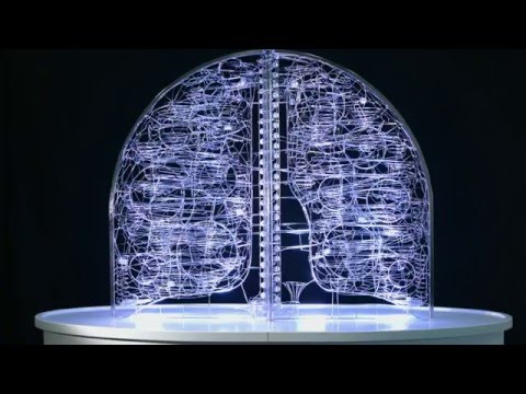 Kinetic lungs - rolling ball sculpture by Rob Moore