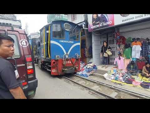 Stray Dogs & ... # Kurseong # Darjeeling