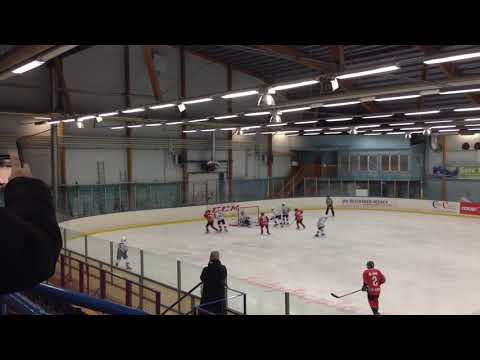 SHC-serien U12, 2019-02-09, IFK Österåker Vikings HC - Täby HC