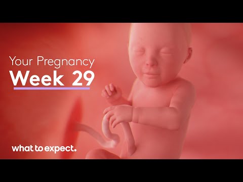 29 Weeks Pregnant - What to Expect