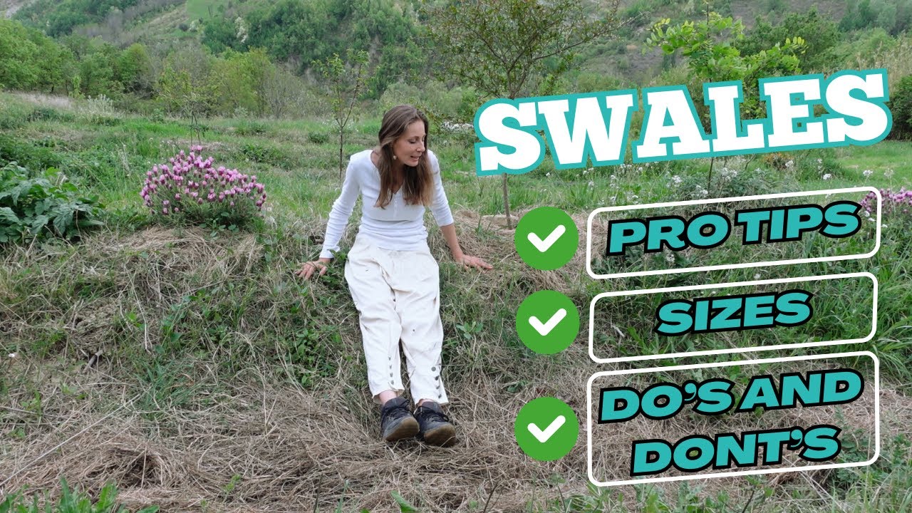 Before You Create Permaculture Swales, Watch this Swale Guide and Example!