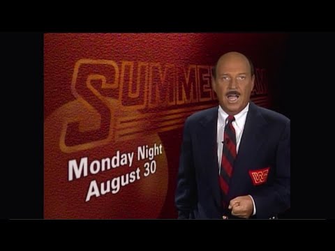 SummerSlam 1993 Report
