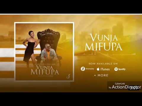 professor-j-ft-ruby-vunja-mifupa official video