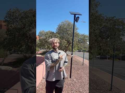 The Rise of Flock Cameras