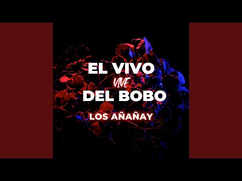 El Vivo Vive Del Bobo