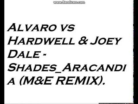 Alvaro vs Hardwell & Joey Dale - Shades Aracadia (M&E REMIX)