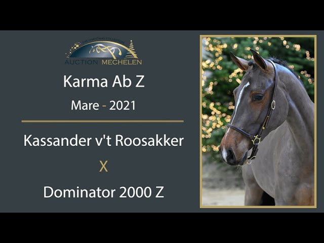 Karma Ab Z