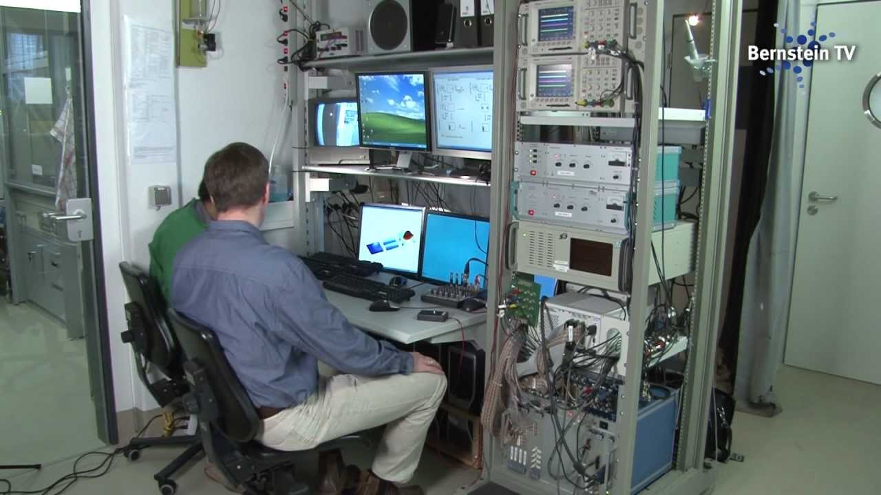 Decision and action - A matter of nerves