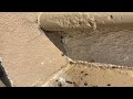 Gap in the Stoop Loaded with Carpenter Ants in Princeton Junction, NJ