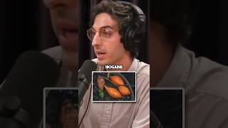 Why Ibogaine is the Most Powerful Psychedelic