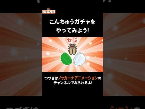 昆虫ガチャ！何が出るかな？#nokkanaanimation   #ノッカーナアニメーション #知育アニメ #shorts