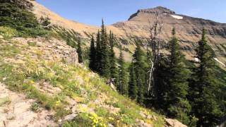 Trip video from Cut Bank Trailhead over Cut Bank Pass to Nyack Creek and back.