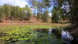 preview picture of video '49 Young Road - North Deep Creek (4570) Queensland by Landmark Harcourts Gympie'