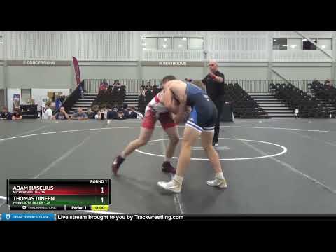 195 Lbs Round 1 (8 Team) - Adam Haselius, Michigan Blue Vs Thomas Dineen, Minnesota Silver E52a