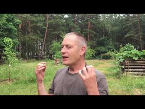 Sam Auinger über Osmodrama 2/3