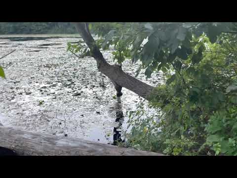 How to locate Faery Cave at Ghost Lake (trail guide) - Shades of Death Road, New Jersey