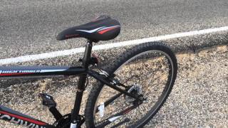 We're All Stuck Out in Joshua Tree