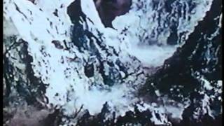 Fono Luxe- Sun Awake