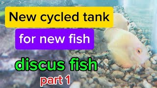 New Tank for DISCUS FISH part 1