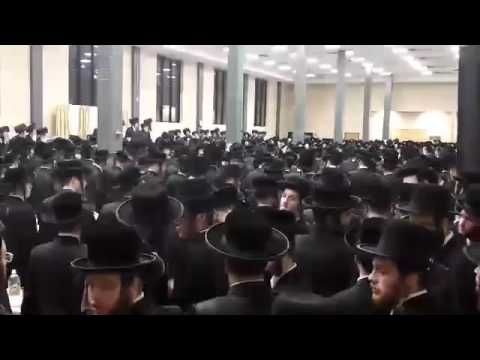 Satmar Wedding Shvat 5776 - S"B In Yeshiva Gedola Tu BeShvat