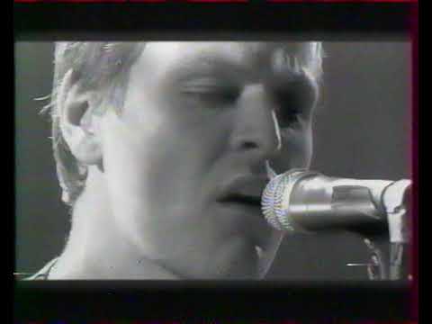 Tom McRae  - You Cut her Hair - NPA Live - Nulle part Ailleurs