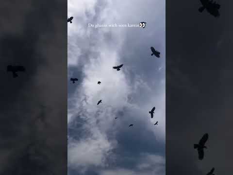 Mentoin 🫀🤌🏼    @FilmFaize  #aesthetic #sidhumoosewala❤️ #trendingreels #viralreelsvideo #punjabi