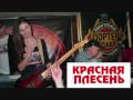 Красная Плесень - Чуя 