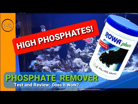 High Phosphates! Rowa Phos: Test and Review