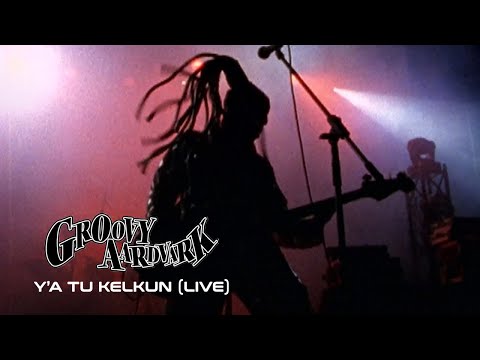 Groovy Aardvark - Y'a tu kelkun? ( EXIT STAGE DIVE )